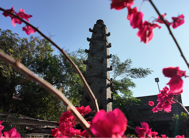 About Lendi Gardens